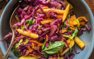 Redd cabbage and nectarine coleslaw